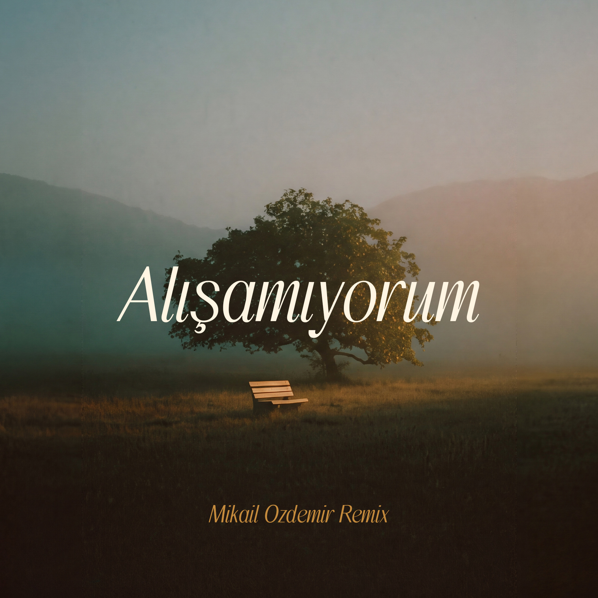Cem Belevi - Alışamıyorum (Mikail Ozdemir Remix) Cover